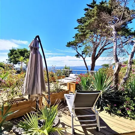 L'Océanite - Studio 21 m2 Sea view with terrace Appartement